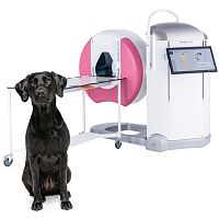 Veterinary CBCT scanner Verity® VETfor dogs