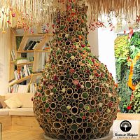 Indoor garden THE MAJESTIC BAMBOO BAOBAB