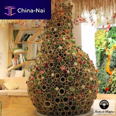 Indoor garden THE MAJESTIC BAMBOO BAOBAB