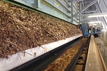 Biomass plant