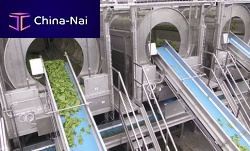 Fruit washing machine for vegetables