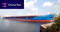 Bulk carrier cargo ship CHELSEA-1Capesize