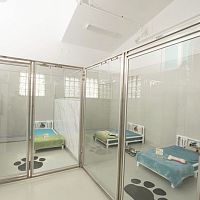 Kennel veterinary cage Sani-Kennelsmodular