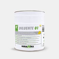 Wood paint remover DILUENTE 01professional