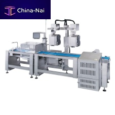 Labeller for the food industry WPL