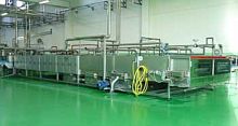 Pasteurizer for the food industry continuous