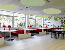 Glass suspended ceiling PAINTABLESwoolresinpanel