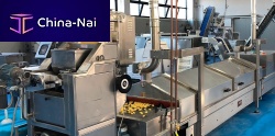 Pasta pasteurizer in-line