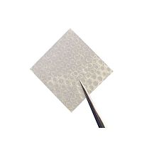 Cutaneous tissue matrix AmnioExcel® Plusallograft