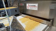 Radio frequency pasteurizer IGOSfor the food industryin-linesteam