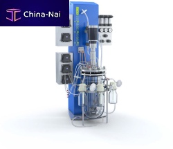 Laboratory bioreactor / fermentor 2 - 7 l | RALFpilotcombined
