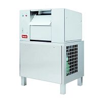 Scale ice maker NRE 800