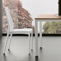 Contemporary chair S32.NICOLEindoorpolypropylenestackable