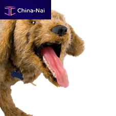Veterinary training manikin Jerryairway managementdog