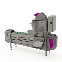 Cabbage fruit and vegetable cutting machine melonbell pepperpineapple