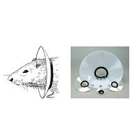 Rodent veterinary collar EC201V-10, EC4 Serieswashableadjustablefor animal research