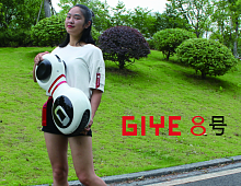 ����������  Best regards Bonnie Ningbo Gaia Electric Vehicle Technology Co., Ltd 