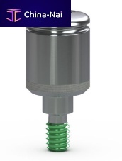 Titanium healing abutment PGNHA5Linternalstraightnarrow