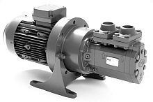 Fuel oil hydraulic pump ACE