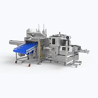 Automatic stuffer PIC 99 BCEelectricnet-casingintestine casing