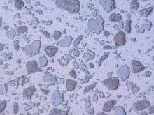 Tungsten carbide