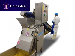 Fruits and vegetable dicer TC