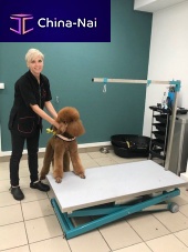 Grooming dryer on casters