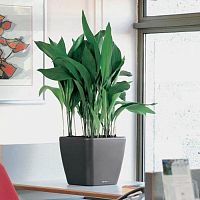 Concrete planter SELF-WATERINGplasticstainless steelaluminum