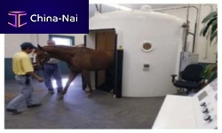 Horse veterinary hyperbaric chamber