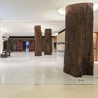 Wooden column TRUNKSunfinisheddecorative