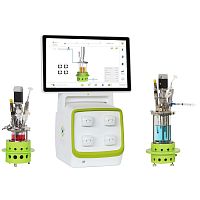 Process bioreactor / fermentor IOdisposablefor parallel synthesisbenchtop