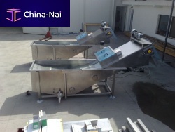 Fan food washing machine for fruitfor vegetables