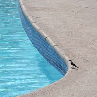 Concrete floor covering ATRMICAfor outdoor usefor public poolsresidential