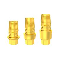 Conical implant abutment InLab®titaniumTi-basedental laboratory