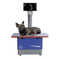 Veterinary X-ray table with tube stand MJOLNIR