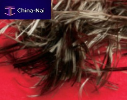 Cut fiber basaltrovingchopped