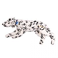 Veterinary training manikin CeePeRCPRbandagingdog