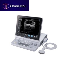Portable ultrasound system HS2for musculoskeletal ultrasound imagingB/Wcolor doppler