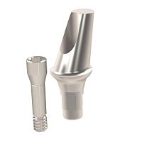 Titanium implant abutment Straumann® internalangledcemented