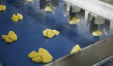 Potato vegetable cutting machine Eagles eye