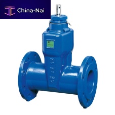 Distribution valve BETA® 200gatemanualfor water
