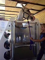 Equine veterinary spa MOBILE