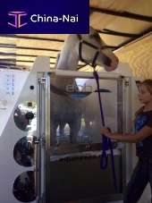 Equine veterinary spa MOBILE