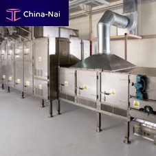 Dryer with belt conveyor AeroDryair blastcontinuousfor the food industry