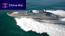 Cruising super-yacht PURE INSANITYwheelhousehard-topdisplacement