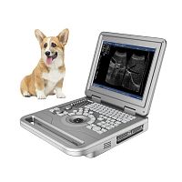 Portable veterinary ultrasound system FTL-UTS30multipurposefor small animalsB/W