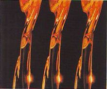 Hydraulic fluid SH series lubricant