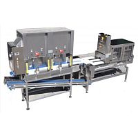 Melon chunking-slicing machine SCMApineappleautomatic