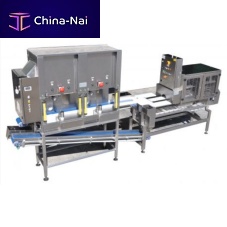 Melon chunking-slicing machine SCMApineappleautomatic