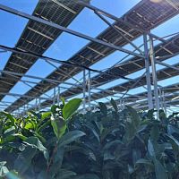 Greenhouse PV mounting system for landscape installationaluminium